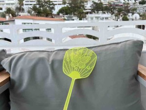 Ganzjährig geschützt: Insektenfrei mit Fliegengitter Fenster Lösungen